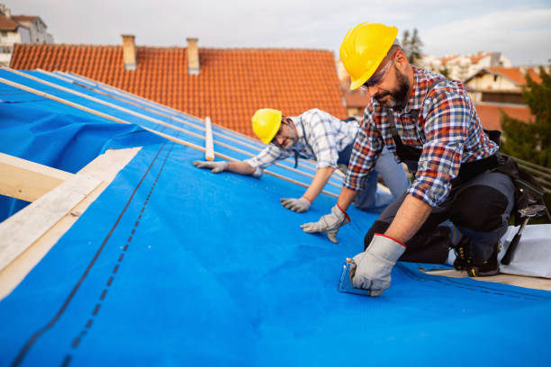 Best Metal Roofing Contractor  in Dumas, TX